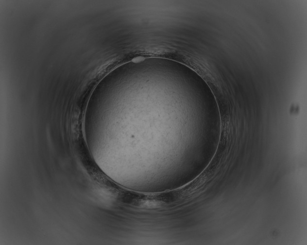 X0000091650360200708301423