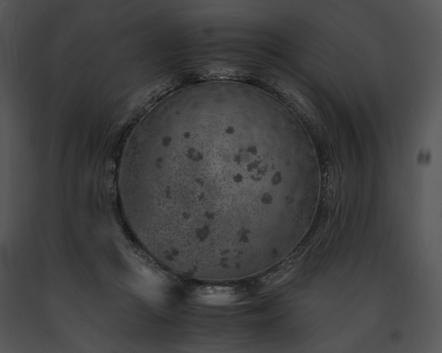 X0000091650361200708301423