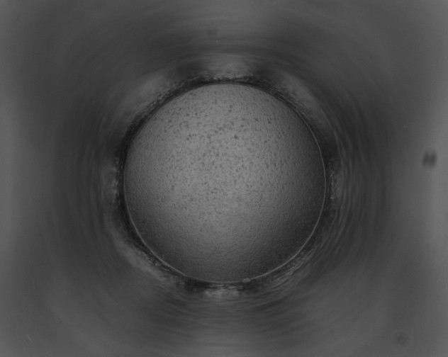 X0000091650362200708301423