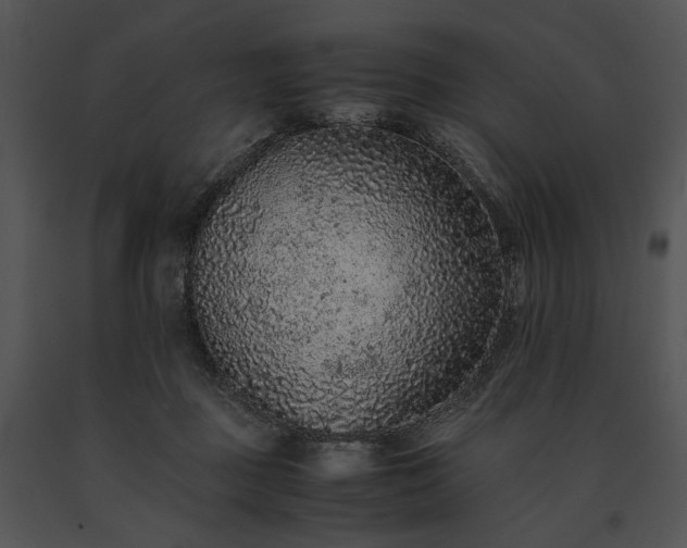 X0000091650363200708301423