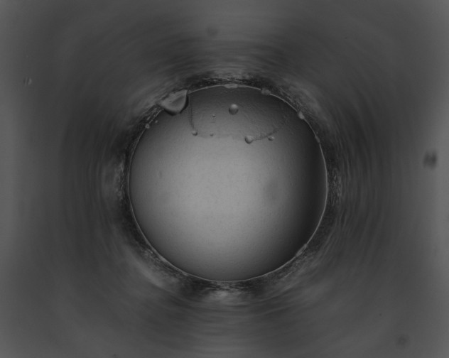 X0000091650364200708301423