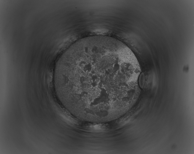 X0000091650365200708301423