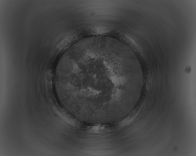 X0000091650366200708301423