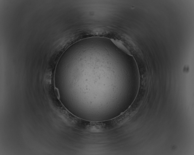 X0000091650368200708301423