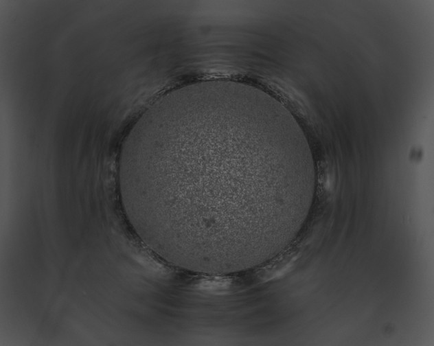 X0000091650369200708301423