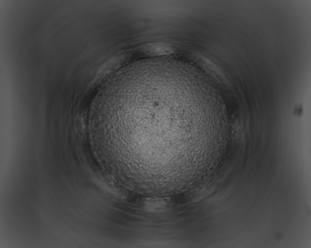 X0000091650373200708301423