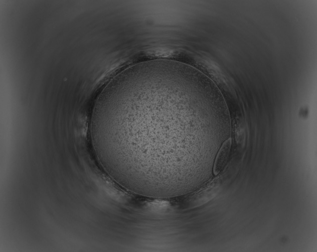 X0000091650374200708301423