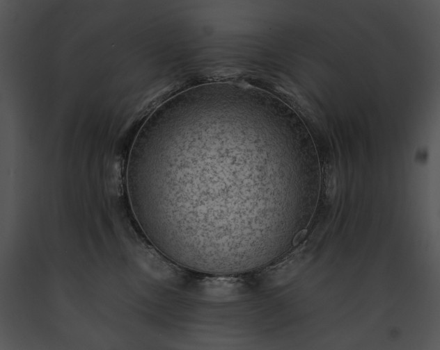 X0000091650378200708301423