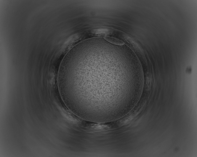 X0000091650379200708301423