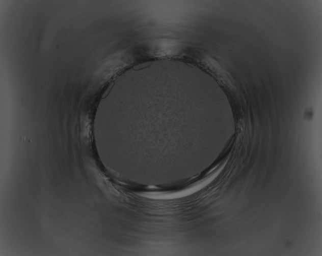 X0000091650380200708301423