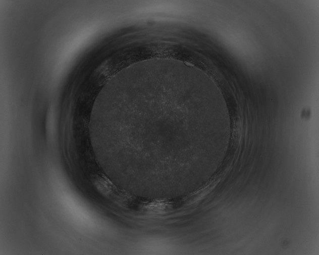 X0000091650383200708301423