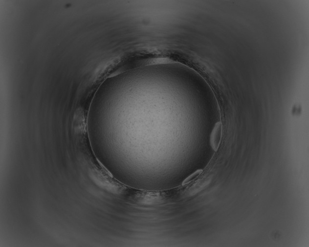 X0000091650384200708301423