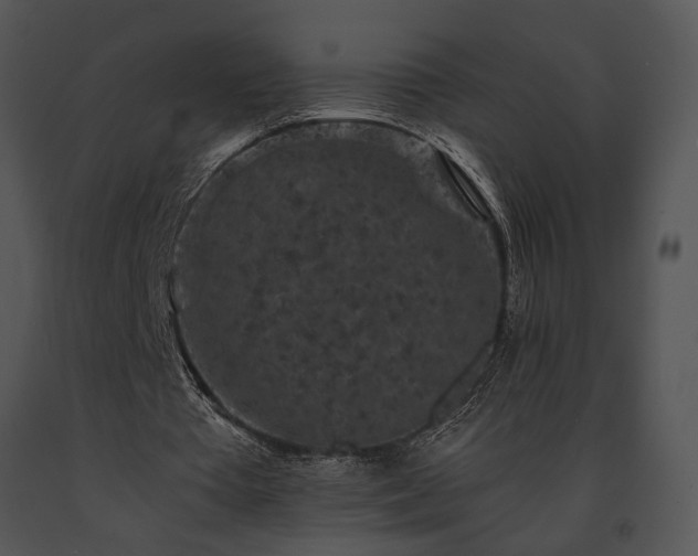 X0000091650385200708301423