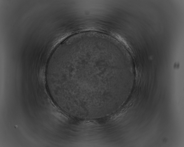 X0000091650386200708301423