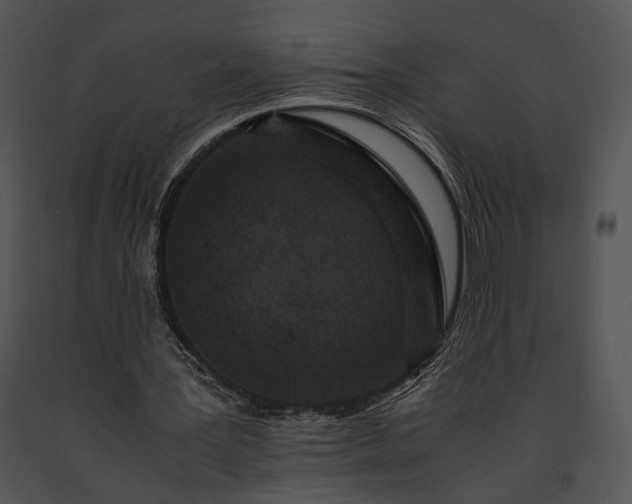 X0000091650387200708301423