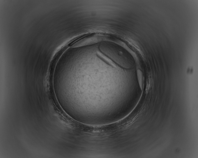 X0000091650388200708301423