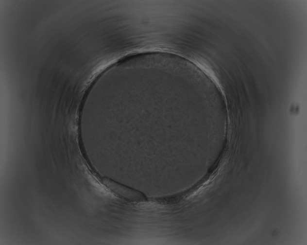 X0000091650389200708301423