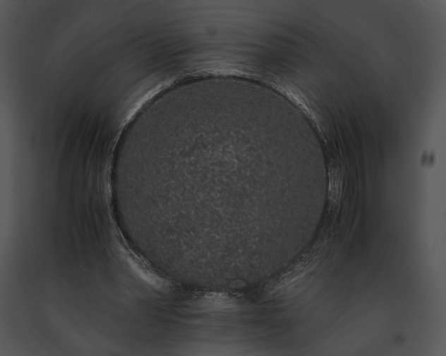 X0000091650390200708301422