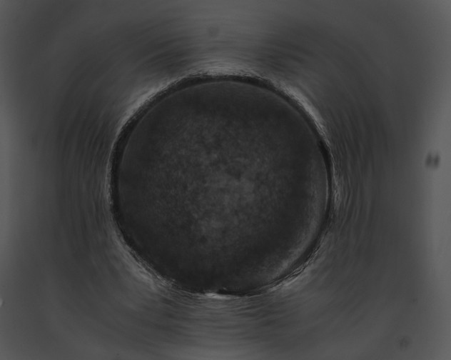 X0000091650391200708301422