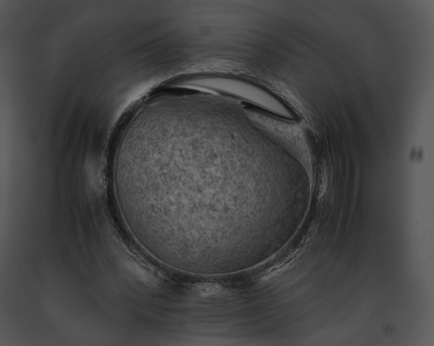 X0000091650392200708301422