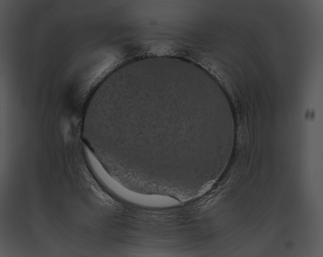 X0000091650393200708301422