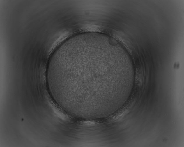 X0000091650394200708301422