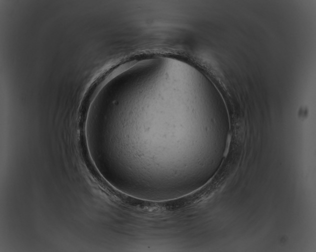 X0000091650395200708301422