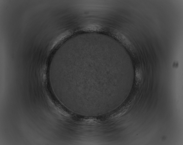 X0000091650396200708301422