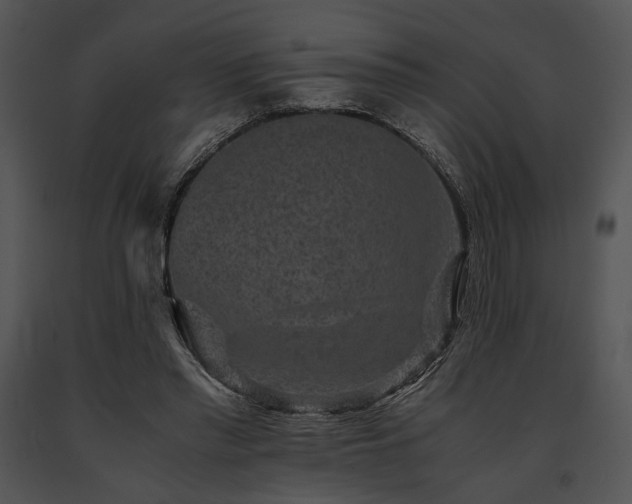 X0000091650397200708301422