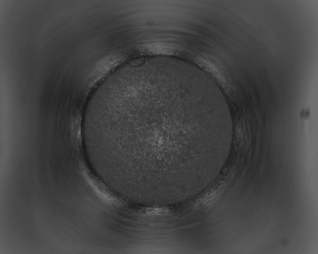 X0000091650398200708301422