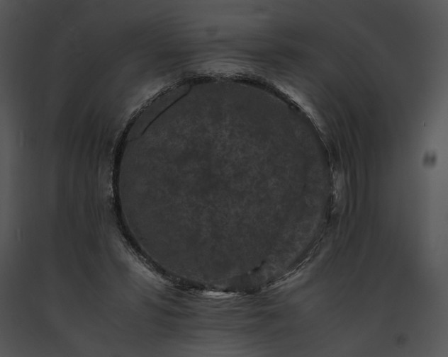 X0000091650399200708301422