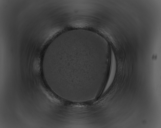 X0000091650400200708301422