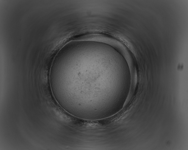 X0000091650401200708301422