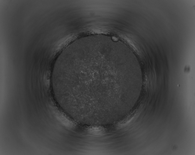 X0000091650402200708301422