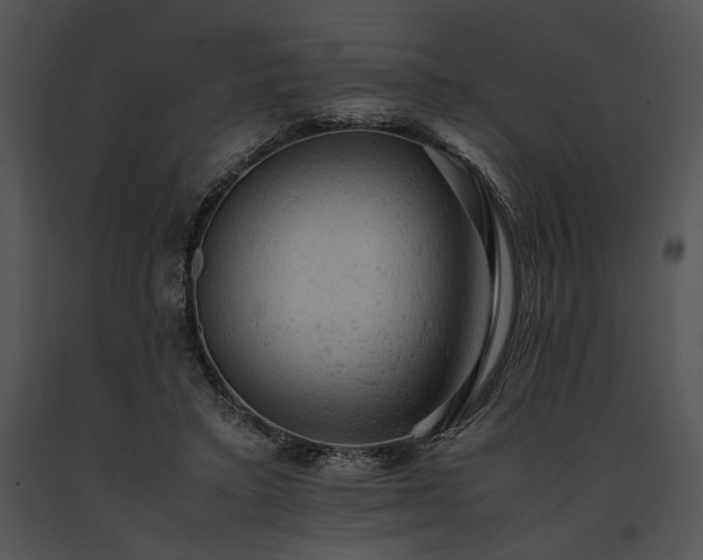 X0000091650403200708301422