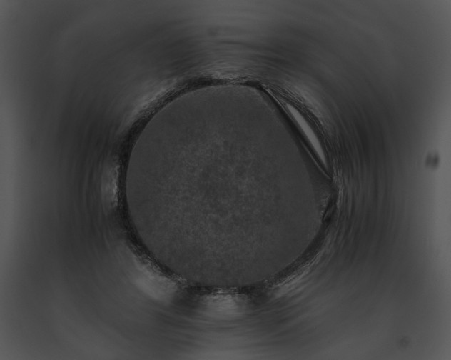 X0000091650404200708301422