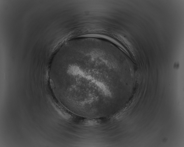 X0000091650405200708301422