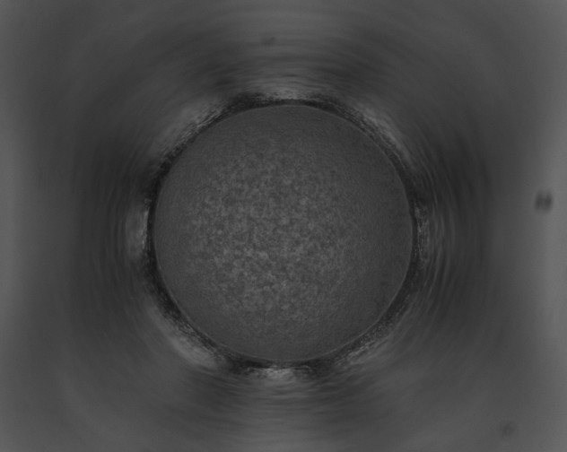 X0000091650406200708301422