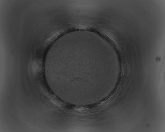 X0000091650407200708301422