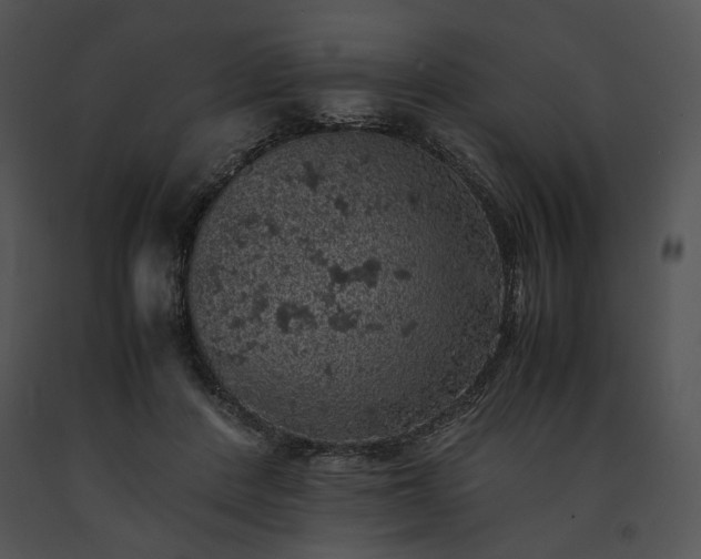 X0000091650408200708301422