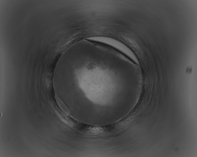 X0000091650409200708301422