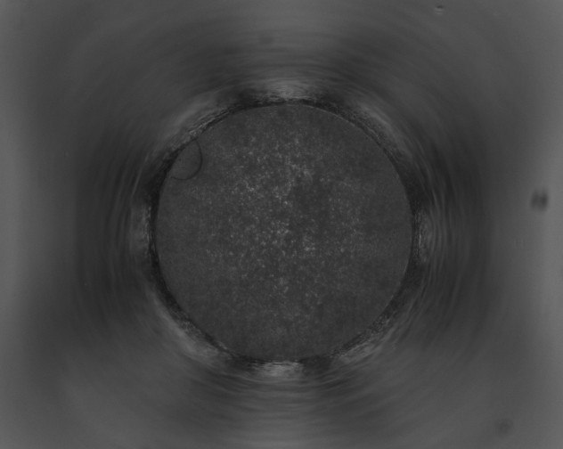 X0000091650410200708301422