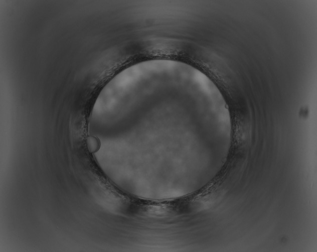 X0000091650411200708301422