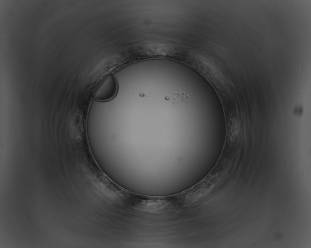 X0000091650414200708301422