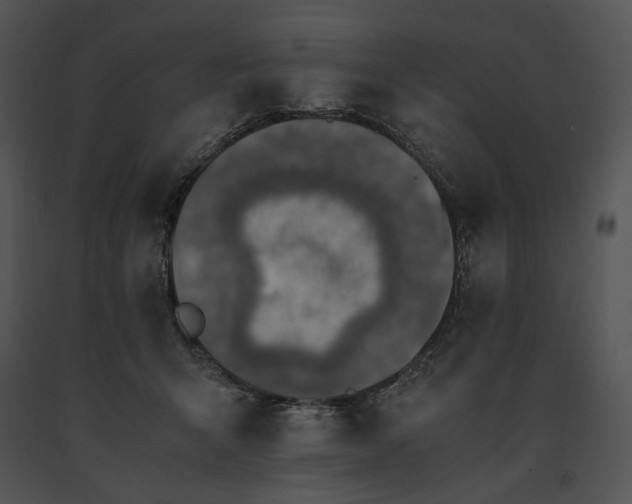 X0000091650415200708301422