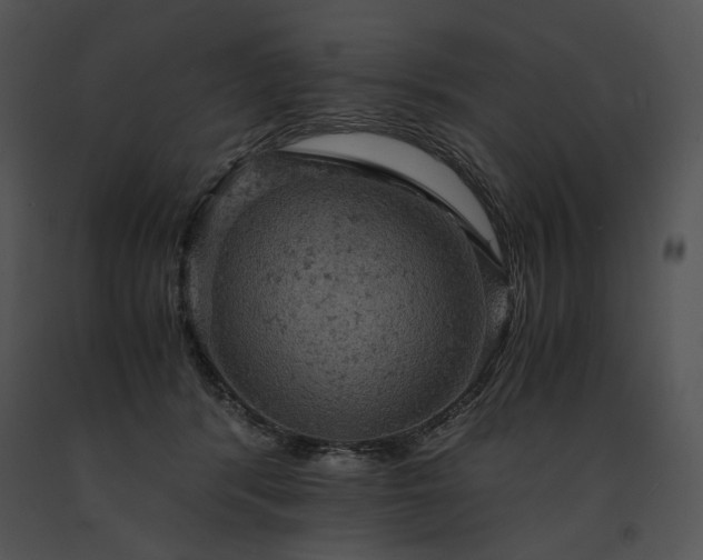 X0000091650416200708301422