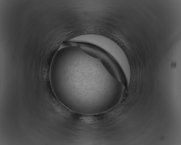 X0000091650417200708301422