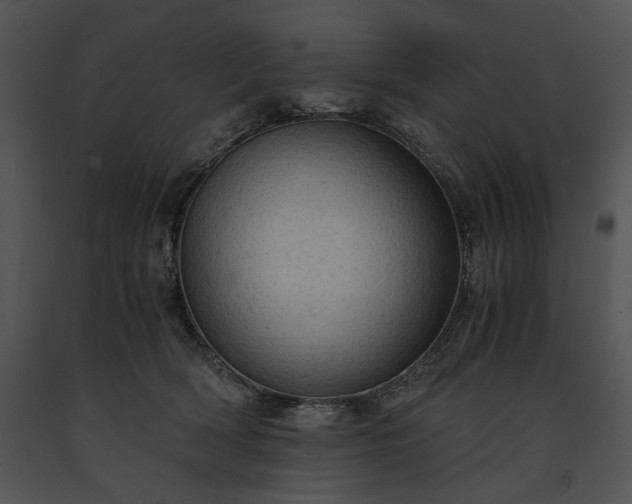 X0000091650418200708301422