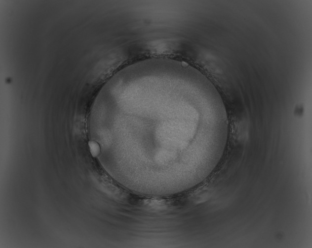 X0000091650419200708301422