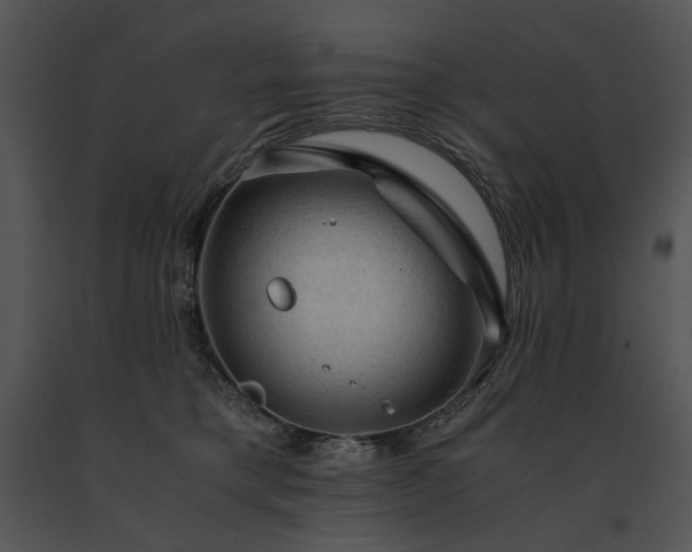 X0000091650421200708301422